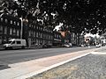 High Park-Swansea, Toronto, ON, Canada - panoramio (2)