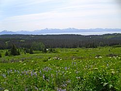 View from Diamond Ridge on the Homestead Trail, showing Kachemak Bay and the Kenai Mountains
