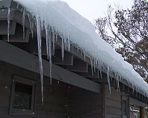 Icicles forming