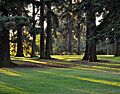 Kenilworth park Portland Oregon