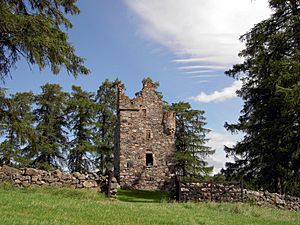 Knock Castle 1