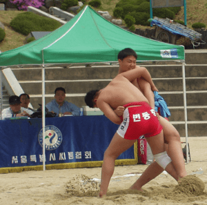 Korea-Seoul-Ssireum-Korean wrestling-crop