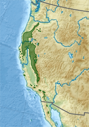 Distribution of Calocedrus decurrens in the Western United States
