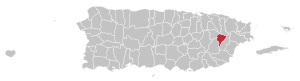 Map of Puerto Rico highlighting Juncos Municipality