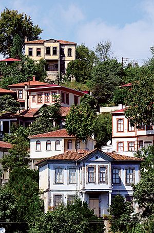 Mansions in Trabzon 2