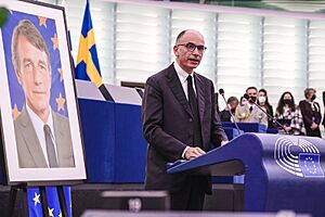 Memorial for President Sassoli- “Your fight for democracy will live on” - 51828613384