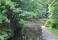 Mouth of Pine Creek