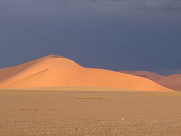 Namib sand.dunes