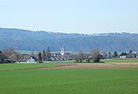 Neftenbach Dorf