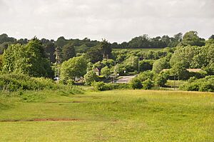 North Somerset - Felton Common (geograph 3513772)