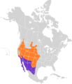 Phalaenoptilus nuttallii map