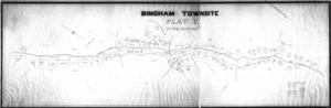 Plat E, Bingham Townsite Map, 1900 from the Salt Lake County Recorder's Bingham Canyon Maps