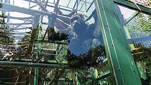 Port Lympne (84)