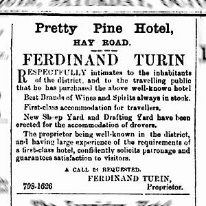 Pretty Pine Hotel advt PT 25Oct1890