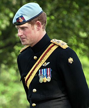 Prince Harry's medals