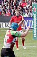 ROGMunsterQuins(cropped)