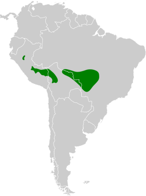 Ramphocaenus sticturus map.svg