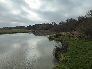 River Nene in Wadenhoe Marsh and Achurch Meadow 1.jpg