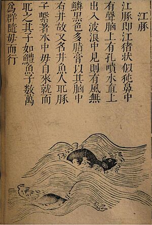 Sancai-tuhui-094-bird&beast6-12jiangtun-riverpig - labeled