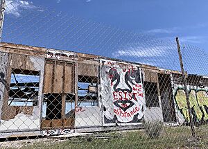 Shepard Fairey Display