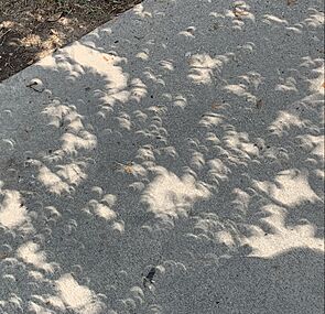 Solar eclipse crescent shadows, College Station TX
