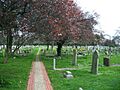 St Laurence Churchyard - geograph.org.uk - 375282