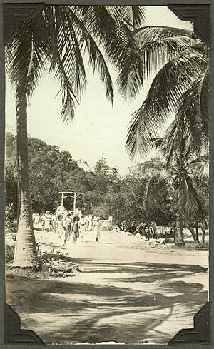 StateLibQld 2 242175 Tourists taking a walk through the palm groves on Magnetic Island, 1937-1938