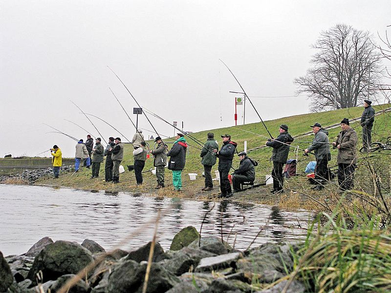 Stintangler an der Elbe