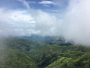 The Peak of Obudu Mountain