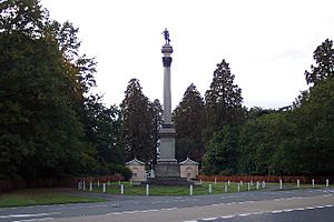 The Wellington Memorial - geograph.org.uk - 62232