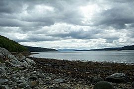 The foreshore of Loch Fyne near Castle Lachlan. - geograph.org.uk - 412516
