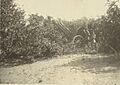 Turkish Gun nrGaza00034v