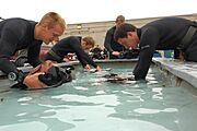 US Navy 090423-N-4301H-044 Basic Underwater Demolition SEAL (BUD-S) candidates check their underwater breathing apparatuses for proper ventilation and safety before participating in dive training in Coronado Bay