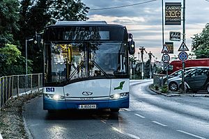 Varna Solaris bus