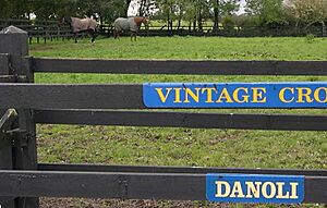 Vintage Crop and Danoli in retirement