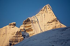 Whitehorn mtn