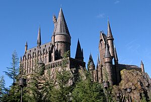Wizarding World of Harry Potter Castle