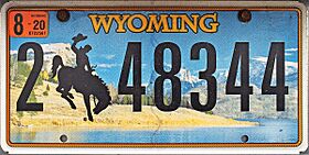 Wyoming 2020 plate