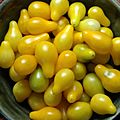 Yellow Pear Tomatoes 012.jpg