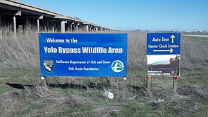 Yolo Bypass Wildlife Area 1