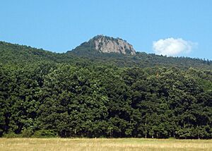 Zarnov