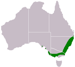 Acacia-longifolia-range-map.png