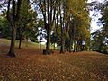 Aldershot Municipal Gardens