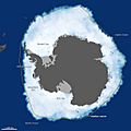 Antarctic Grows