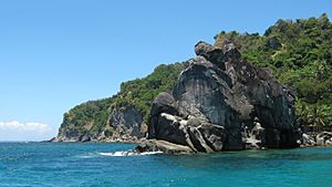 Apo Island rocks