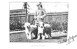 Aubrey Hopwood sheepdog 1905