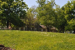 BEECHLAND
