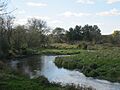 Badfish Creek, Cooksville Mill and Mill Pond Site