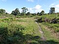 Bixley Heath 6