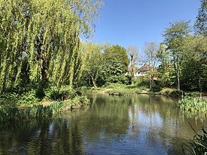 Brickfields Country Park Aldershot pond